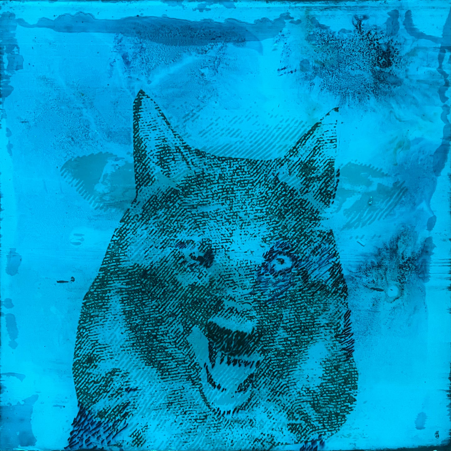 Beyond Illusion: Unveiling the Sheep and the Wolf Mixed media by Papayon